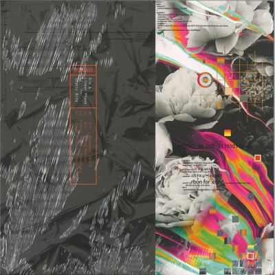 D/n, Linear Phase — Static Rite vinyl cover
