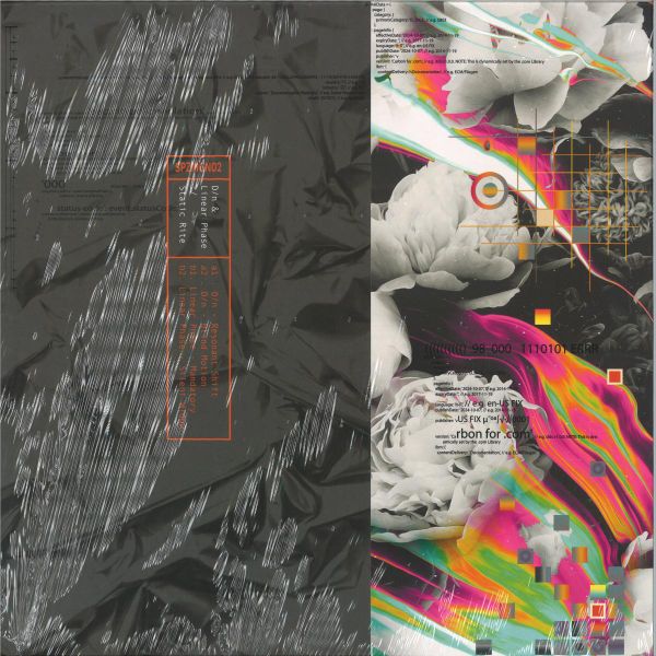 D/n, Linear Phase — Static Rite vinyl cover