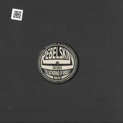 Various — Gathering of Rebels Vol.I 2x12" vinyl cover