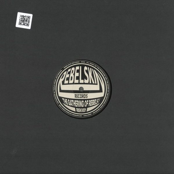 Various — Gathering of Rebels Vol.I 2x12" vinyl cover