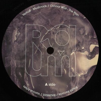 Various Artists — RAUM VA 002 LP vinyl cover
