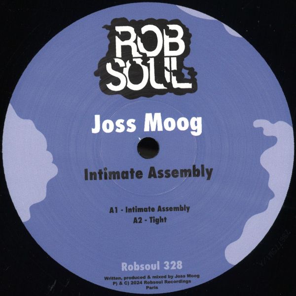 Joss Moog — Intimate Assembly vinyl cover