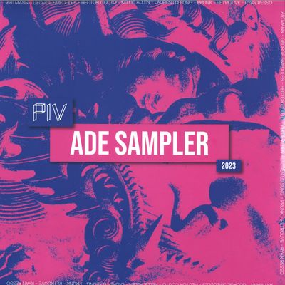 Various — PIV Sampler LP 2x12" vinyl cover