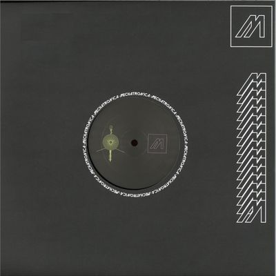 Viikatory — Voyager-1 w/ LUZ1E & Poly Chain Remixes vinyl cover