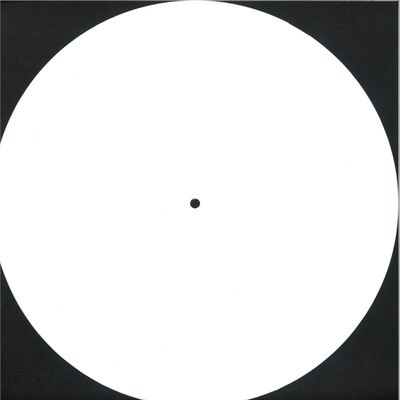 Rico Puestel — All Day I Steal This Album LP 2x12" vinyl cover