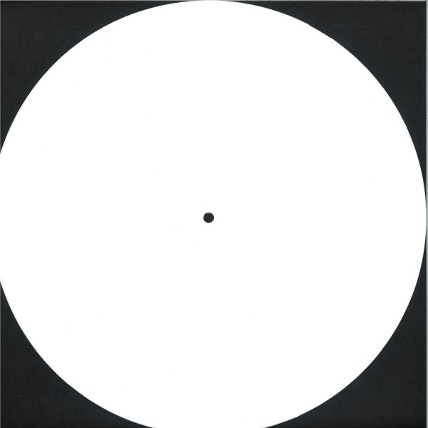 Rico Puestel — All Day I Steal This Album LP 2x12" vinyl cover