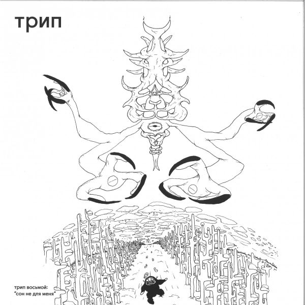 Various — Sleep Not Found 2x12" vinyl cover
