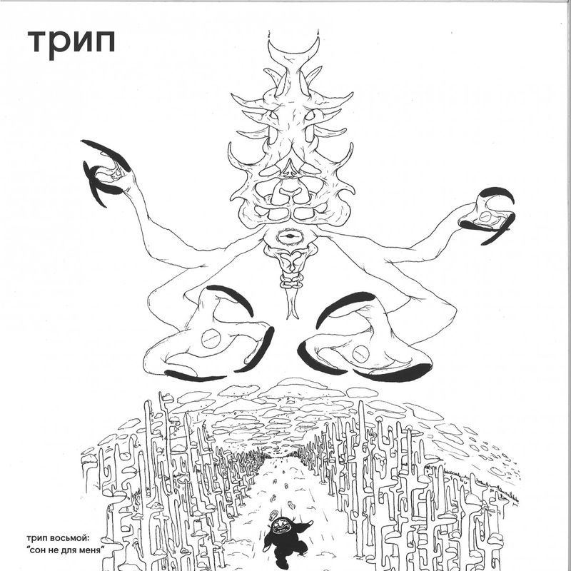 Various — Sleep Not Found 2x12" vinyl cover