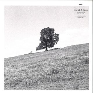 Blank Gloss