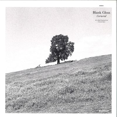 Blank Gloss — Cornered vinyl cover