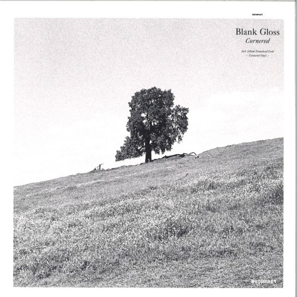 Blank Gloss — Cornered vinyl cover