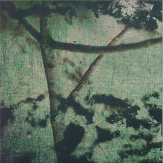 gyrofield — Suspension of Belief vinyl cover