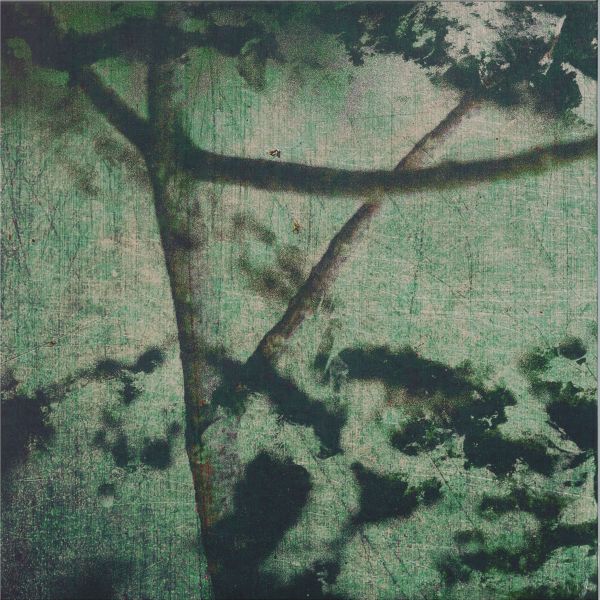 gyrofield — Suspension of Belief vinyl cover
