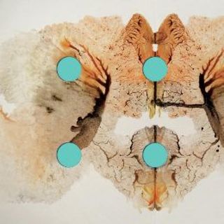 Naaljos Ljom — II vinyl cover