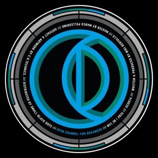 Niki IL B — Data Transfer vinyl cover