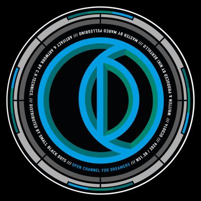 Niki IL B — Data Transfer vinyl cover