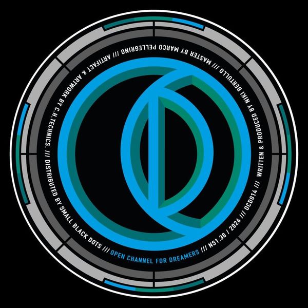Niki IL B — Data Transfer vinyl cover