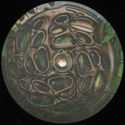 Shjva — The Message EP vinyl cover
