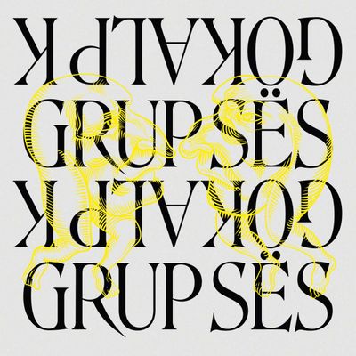 Grup Ses&Gökalp K — Grup Ses & Gökalp K vinyl cover