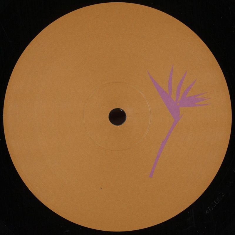 Various — Compilation 2 vinyl cover