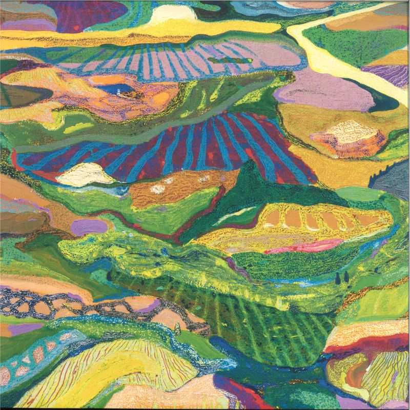 Minaeminae — Räumlichkeit LP 2x12" vinyl cover