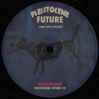 Nachtwaker — Pleistocene Future 10 vinyl cover