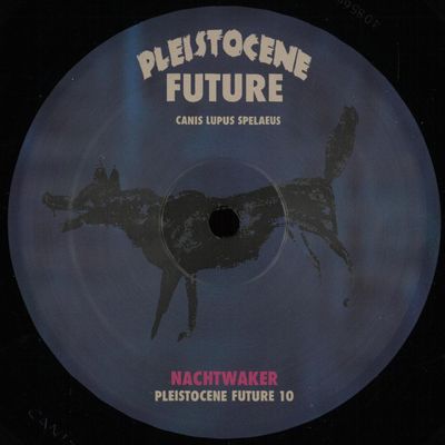 Nachtwaker — Pleistocene Future 10 vinyl cover
