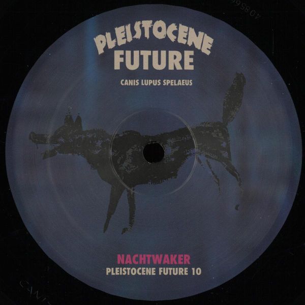 Nachtwaker — Pleistocene Future 10 vinyl cover