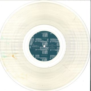 species of fishes — Some Songs Of A Dumb World LP 2x12" vinyl cover