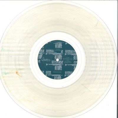 species of fishes — Some Songs Of A Dumb World LP 2x12" vinyl cover