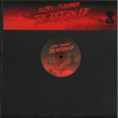 Section, Flashback — The Return EP vinyl cover
