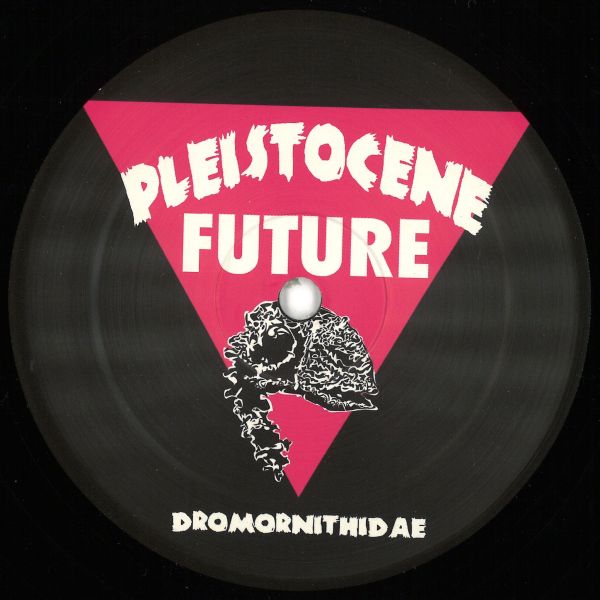 Dario Evangelista — Pleistocene Future 4 vinyl cover