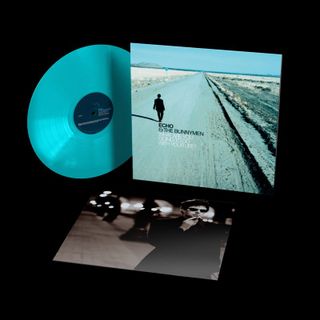 Echoand, The Bunnymen — What Are You Going To Do With Your Life ? (25Th Anniversary Edition) (LP) vinyl cover