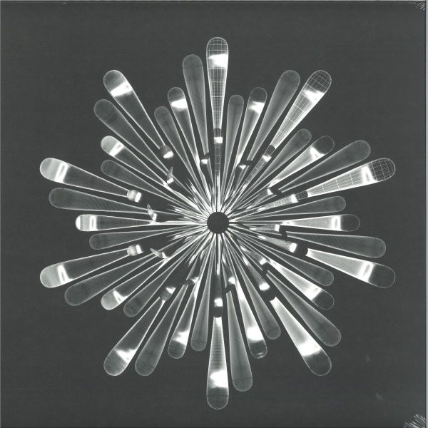 Eusebeia — Critical Impact EP vinyl cover