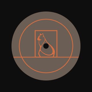 Viels — Particle Audio Catalogue 002 vinyl cover