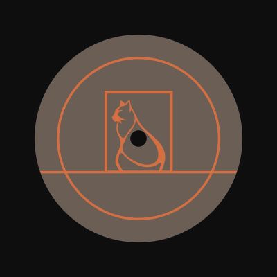 Viels — Particle Audio Catalogue 002 vinyl cover