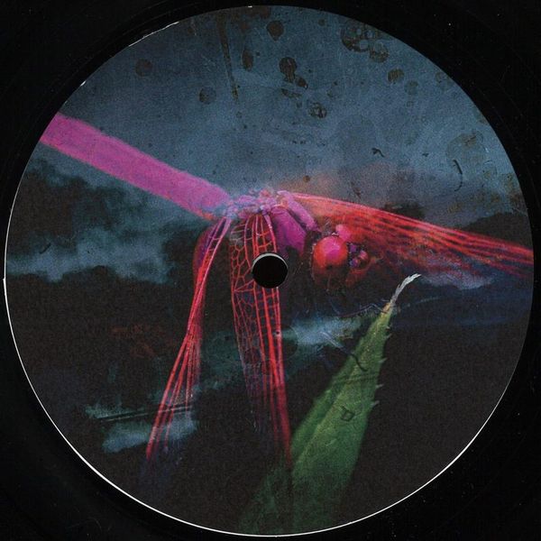 Arsonist Recorder, Sigma_ALgebra — Arkada 005 vinyl cover