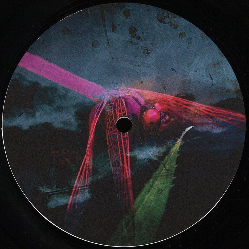 Arsonist Recorder, Sigma_ALgebra — Arkada 005 vinyl cover