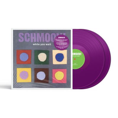 Schmoov! — While You Wait LP 2x12" vinyl cover