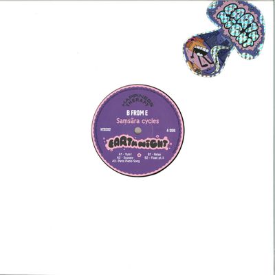 B From E — Saṃsāra Cycles - Earth Night vinyl cover