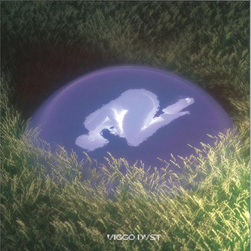 Viggo Dyst — Not Enough Fantasy vinyl cover