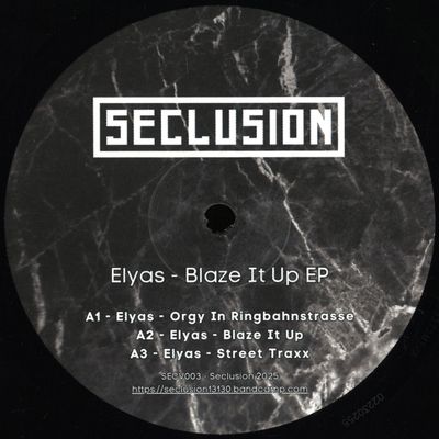 Elyas — Blaze It Up vinyl cover