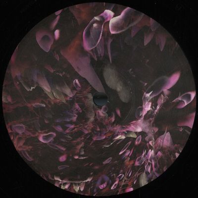 Rings Around Saturn — THX Assassin / Goose Step vinyl cover