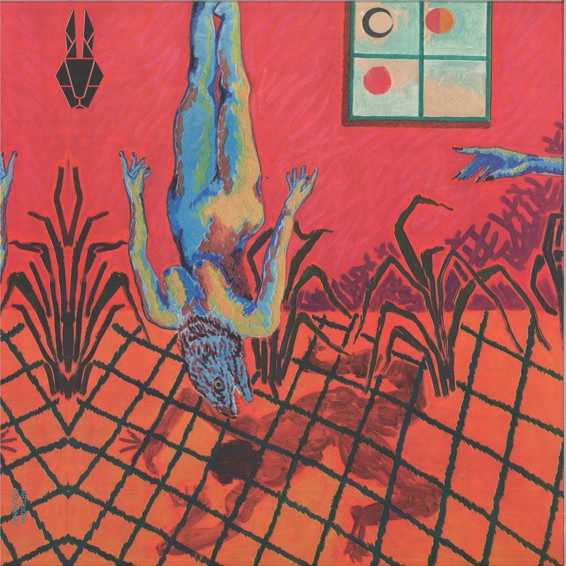 Existencia Pasajera — The Brujo EP vinyl cover