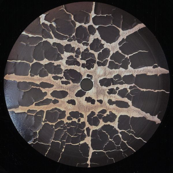 Beard In Dust — Music Of The U vinyl cover