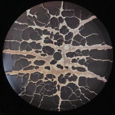 Beard In Dust — Music Of The U vinyl cover