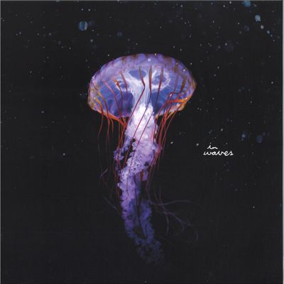 Flowers On Monday — Pirates Of The Sun EP vinyl cover