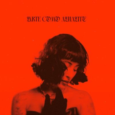 Indira Paganotto — Arte Como Amante LP vinyl cover