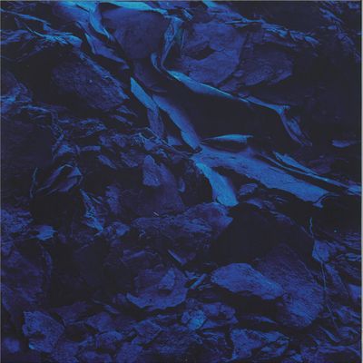 Swarm Intelligence — The Shattered Self vinyl cover