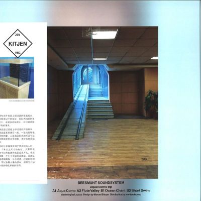 Beesmunt Soundsystem — Aqua Como vinyl cover